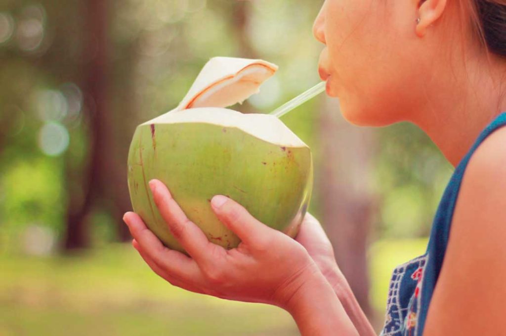 agua de coco contra el dengue